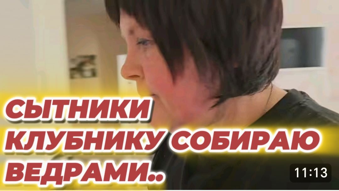 САМВЕЛ АДАМЯН, СЫТНИКИ, КЛУБНИКУ СОБИРАЮ ВЕДРАМИ.. смотреть онлайн