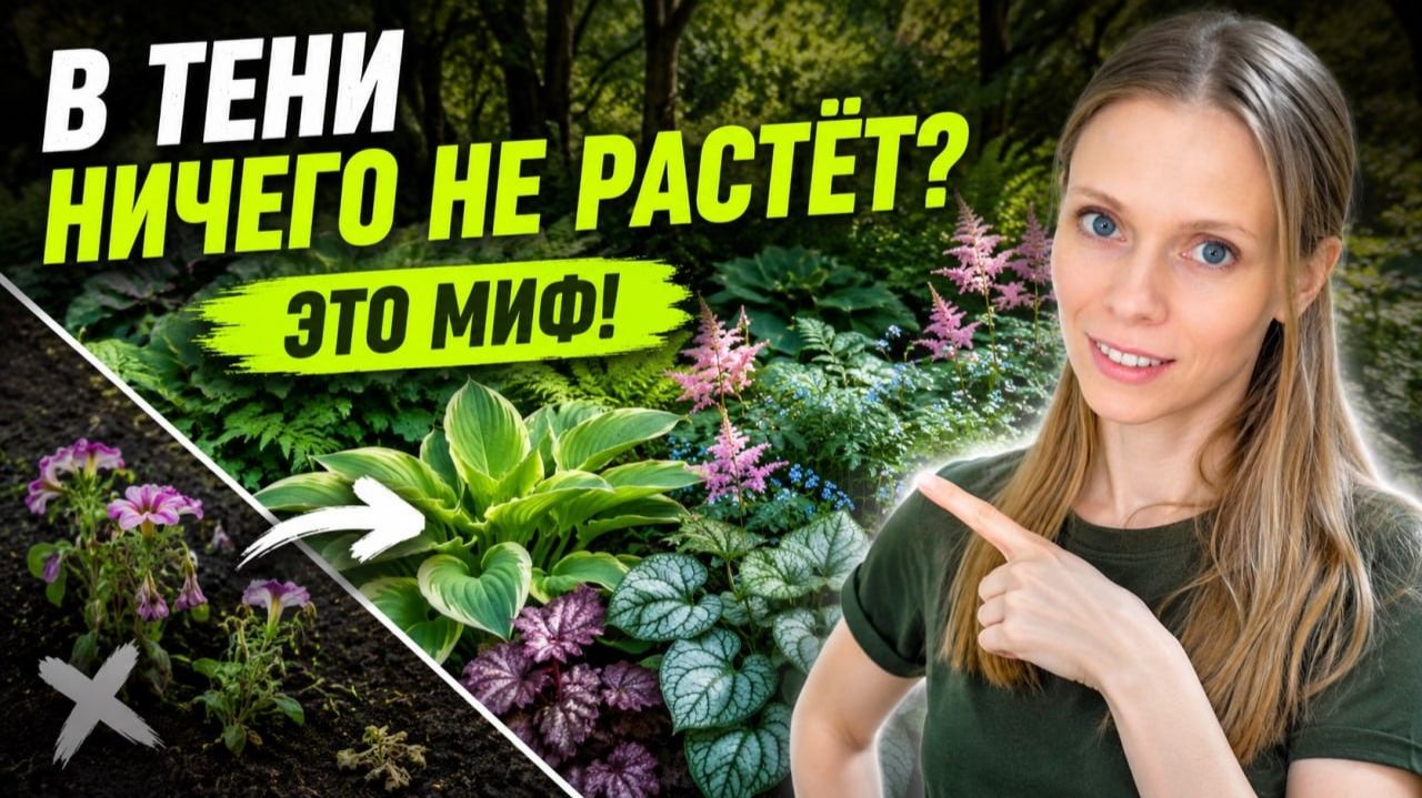 Сад БЕЗ СОЛНЦА как превратить самый тёмный угол в самое красивое место