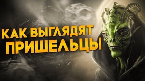 Жизнь на другой планете развивалась бы иначе