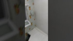 шорц в видео