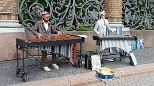 Виброфон + ксилофон = В мире животных 😌🕊