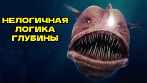 Почему на глубине всё работает наоборот
