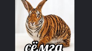 Как создать скин сёмги в чг