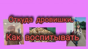 Откуда дровишки😅 И опять о воспитании💥 Моё мнение.