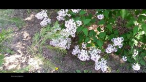 Город весной   #лучшее  #музыка  #Волгоград