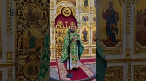 День Святой Пятидесятницы. Проповедь. Иерей Владимир Плотников