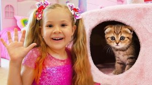 Мы нашли котенка🐱🐈😍