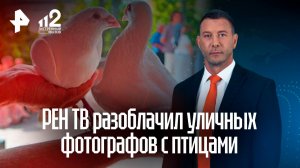 Оставили животных и убежали: РЕН ТВ разоблачил уличных фотографов с птицами