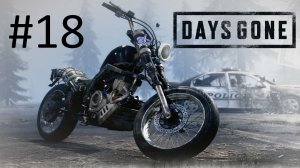 Прохождение Days Gone - Часть 18