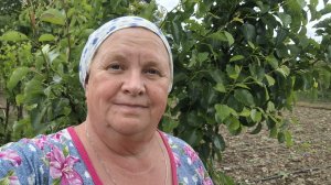 498. Привет из Крыма. И приготовила, и покосила, и попела. 01.06.26.