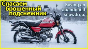Восстанавливаю «подснежник» мопед Colt50