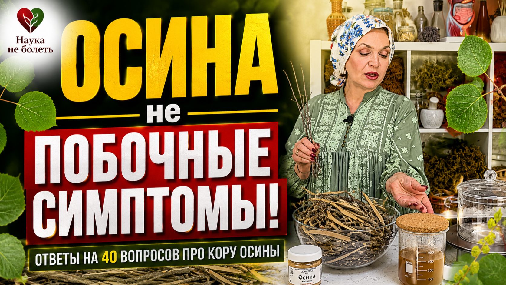 Кора ОСИНЫ - СЕКРЕТ ЕЁ СИЛЫ! ГЛАВНЫЕ ОШИБКИ в ПРИМЕНЕНИИ! смотреть онлайн