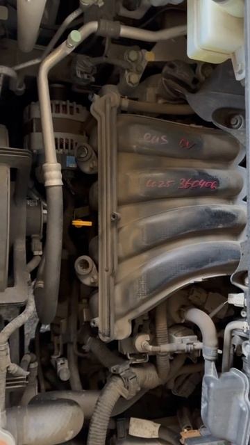 IMG_5981 смотреть онлайн