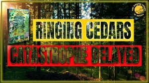 Они отсрочили катастрофу | RINGING CEDARS (книга 2)