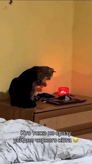 Неожиданно