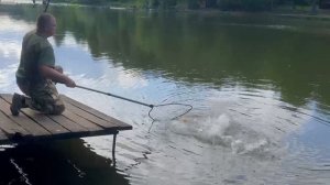 Вечер.Лобастый