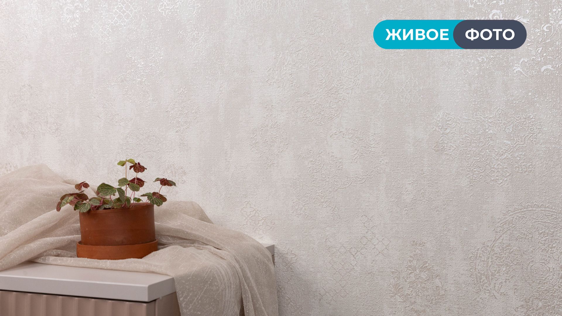 Зара 70742, 70743 смотреть онлайн