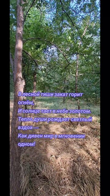 Весна