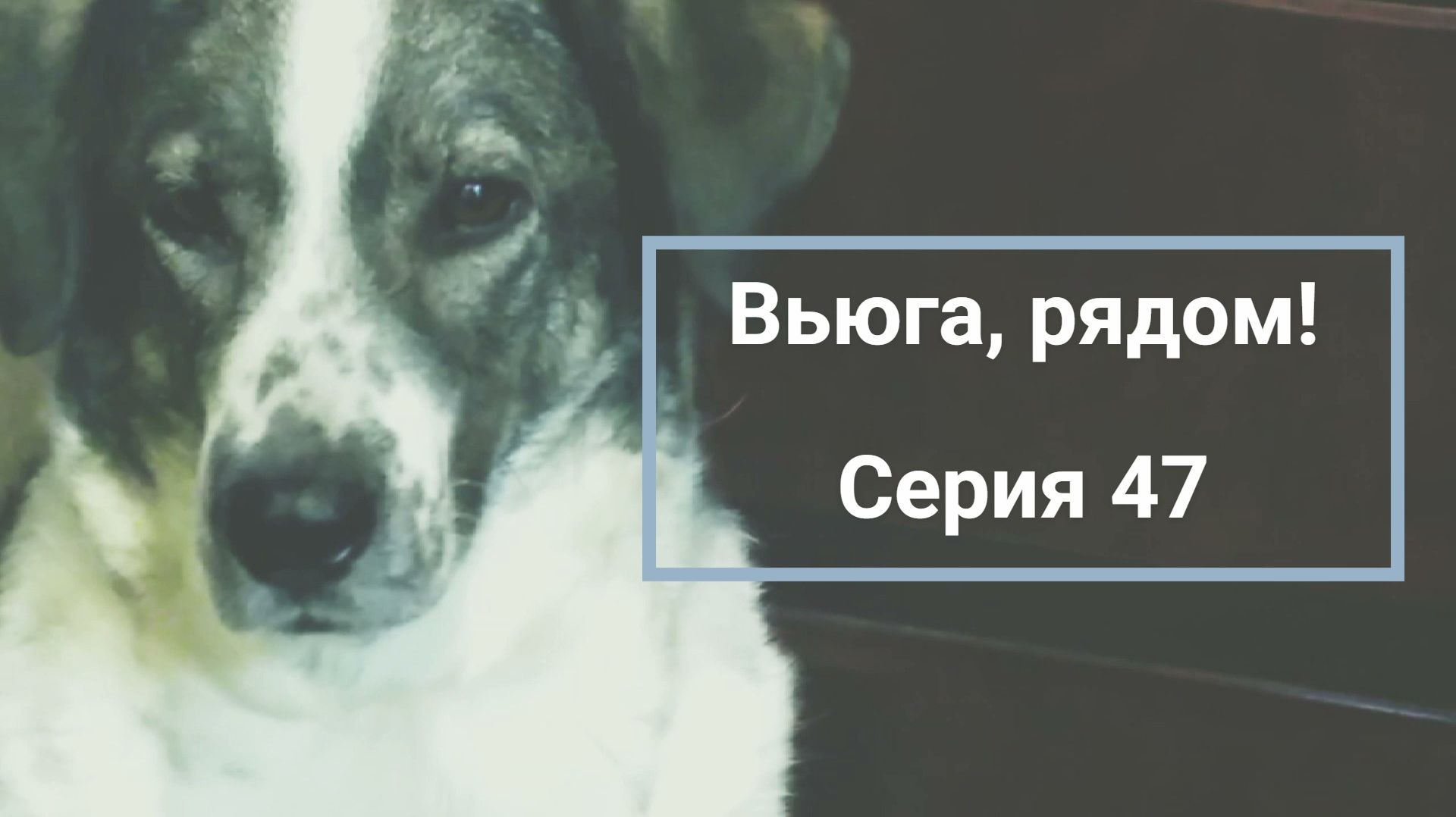 "Вьюга, рядом!" Серия 47