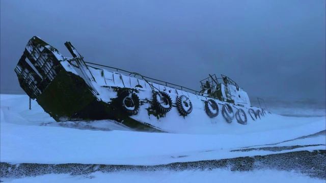 in the nuclear winter, you find something