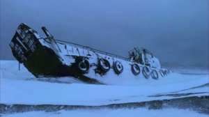 in the nuclear winter, you find something