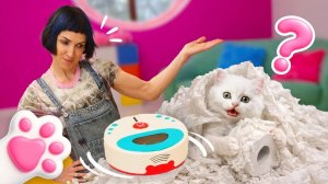 Как занять котёнка, пока Маша работает? Смотрите, что придумала Маша Капуки для Кефира