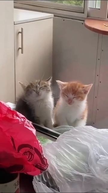 Это мы с тобой на планерке