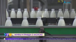 Только детям или никому? Мифы и факты о молоке