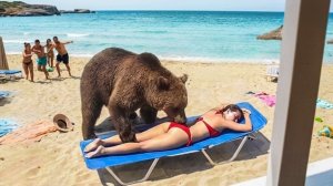 Когда отпуск пошёл не по плану.