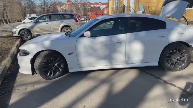 Dodge Charger LD 7 поколение рестайлинг Eva коврики в салон и багажник Evabel.ru 8800-222-48-45