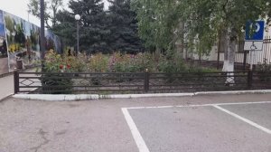 Розы и взаимные подписки. 01.06.2026