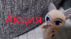 разбор на лео и тиг дорога на Байкал акция в ростикс