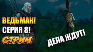 Нужно качать умения! Игра ВЕДЬМАК! СЕРИЯ 8. Прохождение