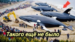 01-06-2026. ЧП❗КАТАКЛИЗМЫ❗КАТАСТРОФЫ‼️ ПРОИСШЕСТВИЯ ЗА ДЕНЬ. новости дня. СЕГОДНЯ. Россия