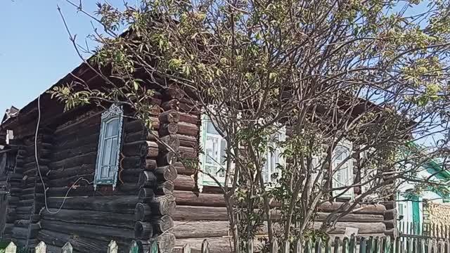 Живу ОДНА в деревне Необычные коровы
