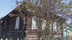 Живу ОДНА в деревне Необычные коровы