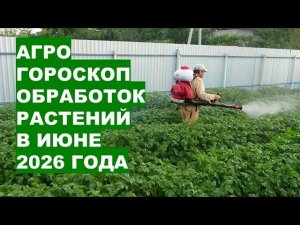 Когда опрыскивать растения в июне 2026? Астро-календарь Раисы Горяченко