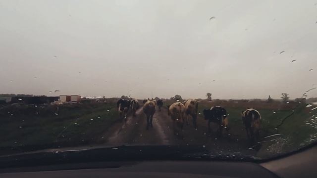 Девченки дайте проехать смотреть онлайн