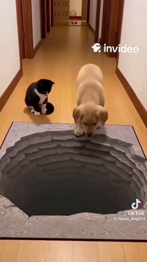 3424915876020223385