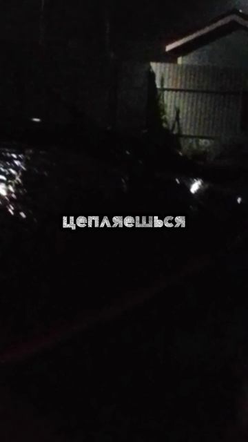 Когда приходит Мудрость