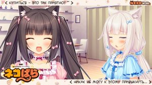 Проходим Некопару. Часть 2. Моем кошечек