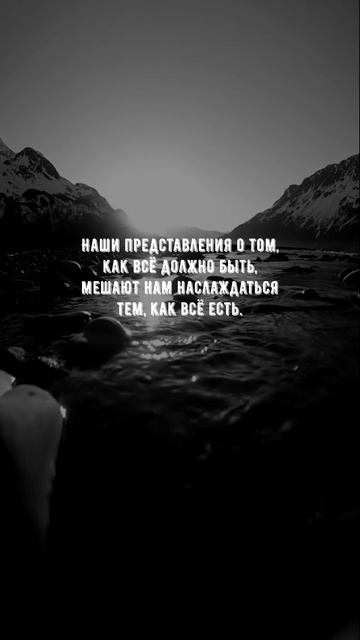 #1088 Цитата дня. Мотивация.