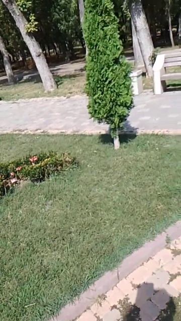 Скульптура "Идеального мужчины".
