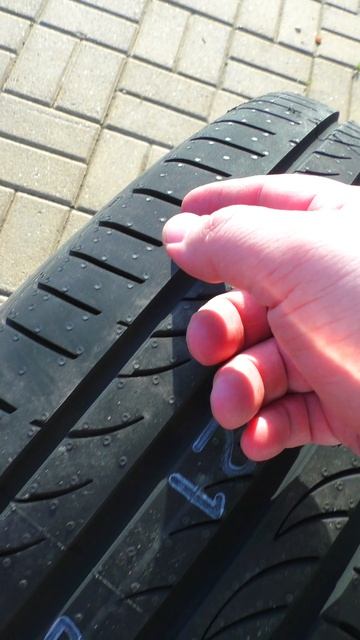Pirelli Powergy обзор летних шин
