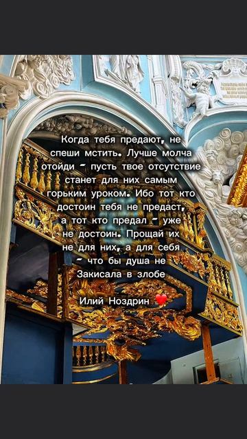 Самый сильный универсальный: «Когда предают — молча отойди. Это лучший урок» 🔥
Протоиерей Илий Ноздр