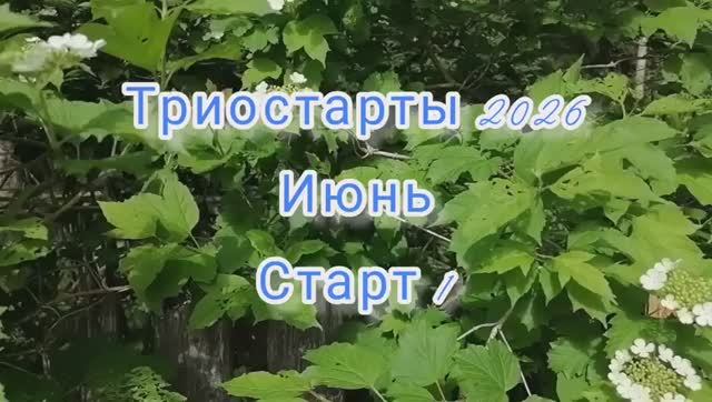 Триостарты 2026. Июнь. Старт 1 смотреть онлайн