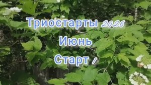 Триостарты 2026. Июнь. Старт 1