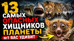 13 Самых Опасных Хищников Планеты: №1 Вас Удивит