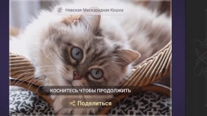 Собираем пазлы. Невская маскарадная кошка