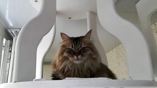 Белый символизирует чистоту и бесконечность❤
